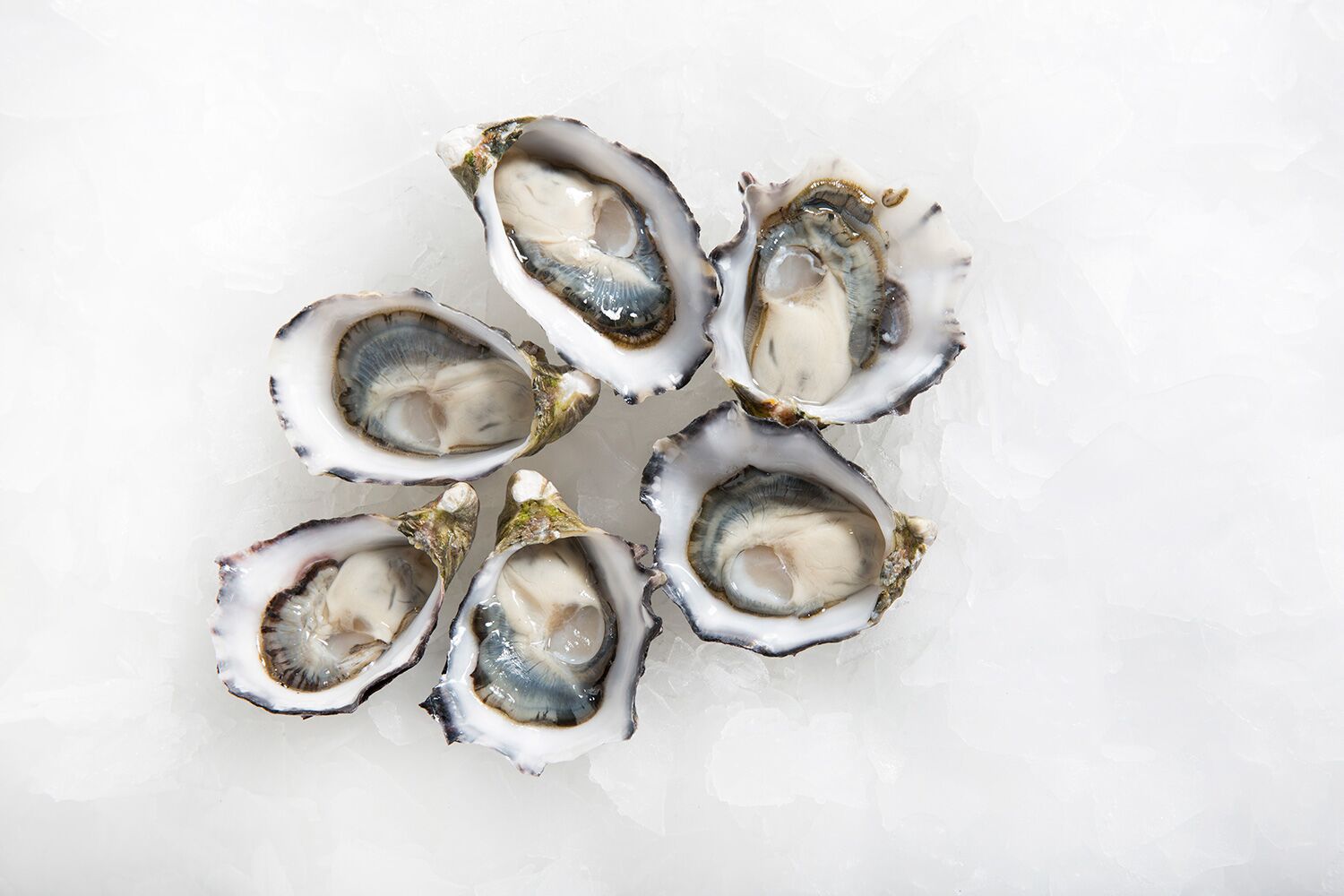 Pacific Oyster Medium Oysters Delivery Sydney Seafood