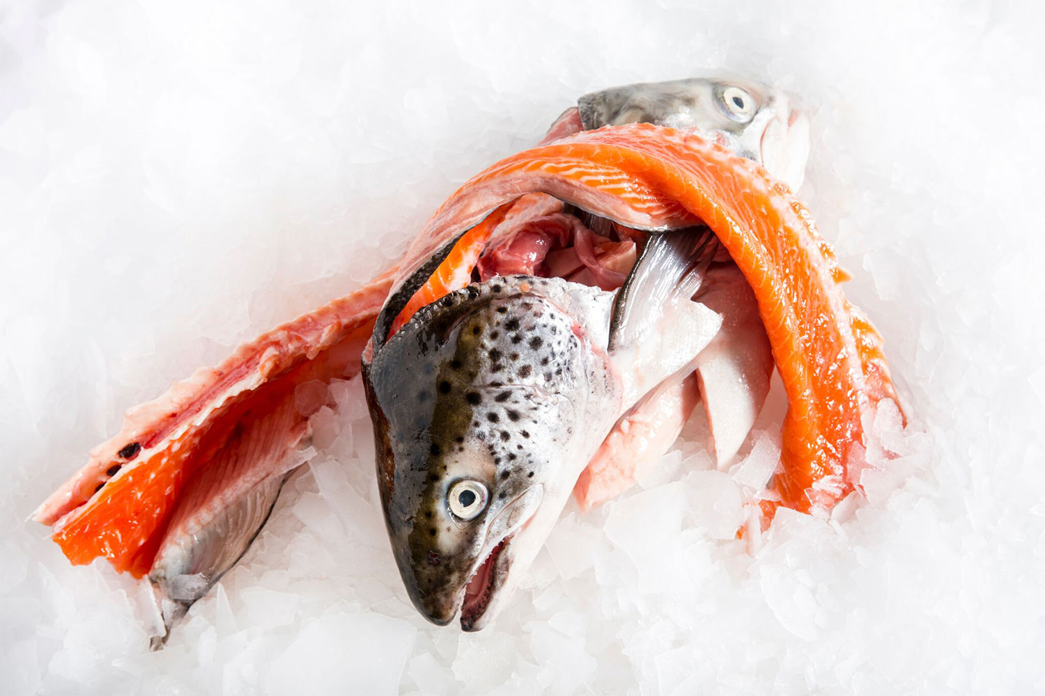 Salmon Bones & Head Delivered Australia Seafood