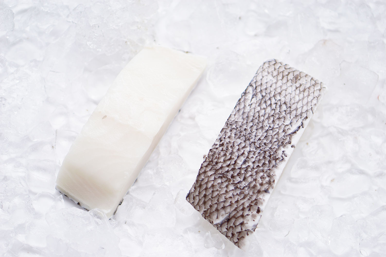 Toothfish Fillet Delivery Sydney Seafood Market